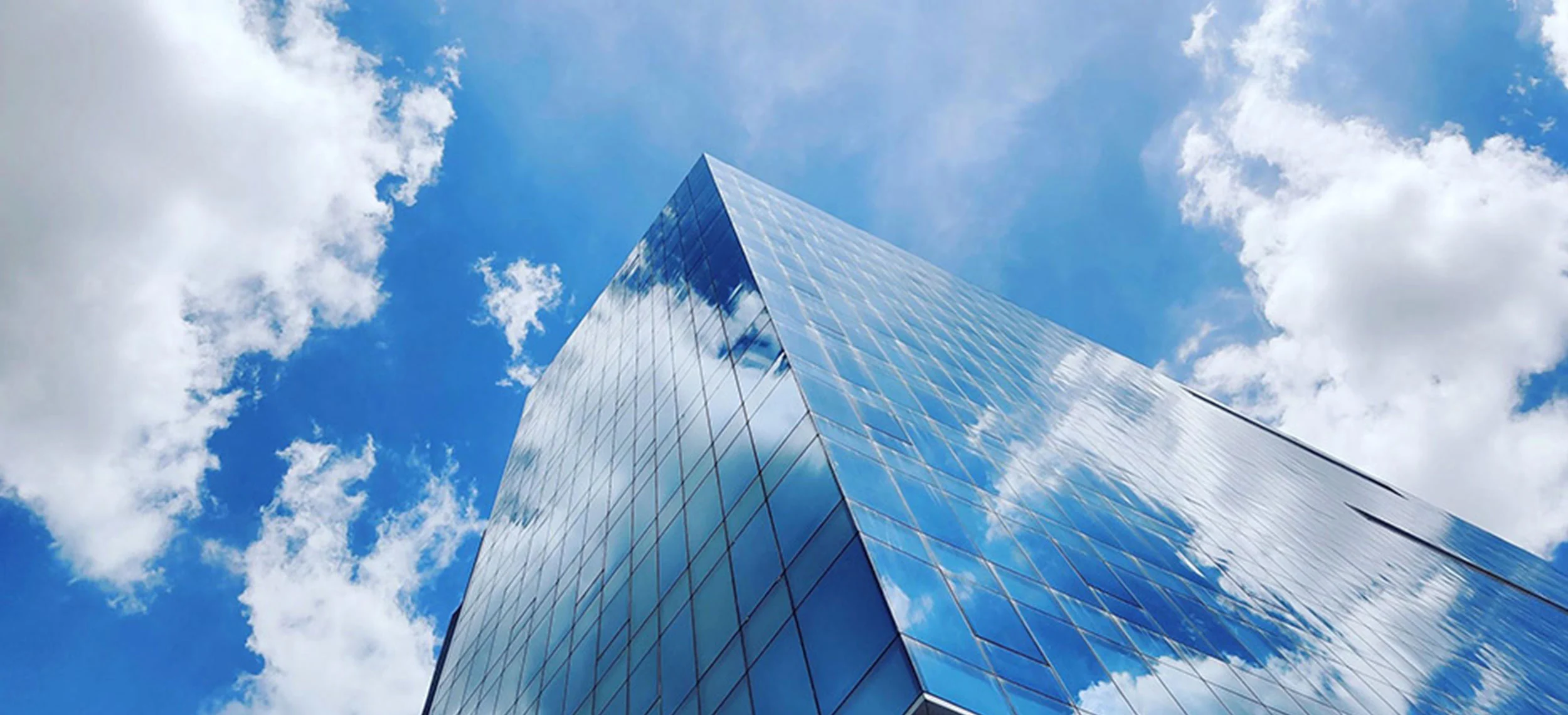 Business executives meeting with a software development company to discuss custom software solutions, cloud technology, and digital transformation.